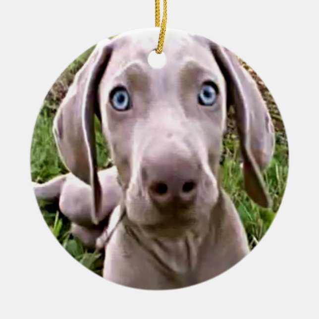 "WEIMARANER" CHRISTMAS ORNAMENT (Front)