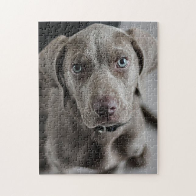 Weimaraner Cutie Pie Jigsaw Puzzle (Vertical)