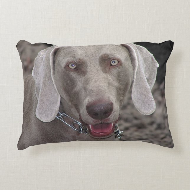 Weimaraner Decorative Cushion (Front)