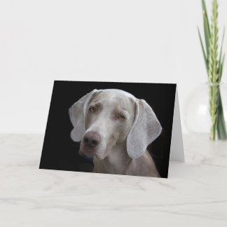 Weimaraner Dog Blank Card