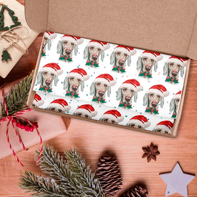Weimaraner Dog Breed Christmas Stars Tissue Paper (Creator Uploaded)