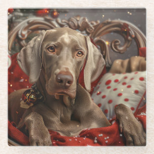 Weimaraner Dog Christmas Festive Glass Coaster