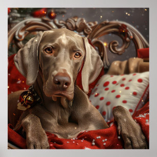 Weimaraner Dog Christmas Festive Poster