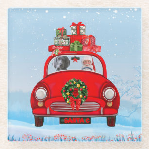 Weimaraner Dog In Car With Santa Claus  Glass Coaster