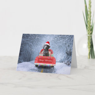 Weimaraner Dog in Snow sitting in Christmas Truck Card