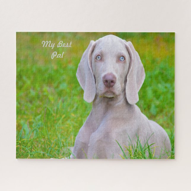 Weimaraner Dog Jigsaws. Jigsaw Puzzle (Horizontal)