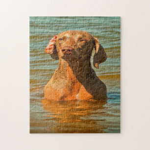 Weimaraner Dog Jigsaws. Jigsaw Puzzle