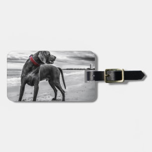 Weimaraner Dog Luggage Tag