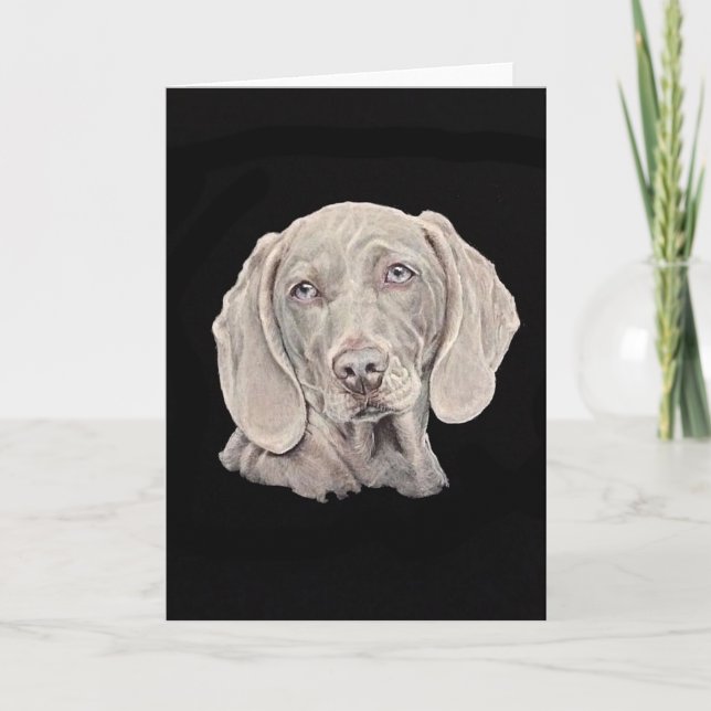 Weimaraner dog on black. card (Front)