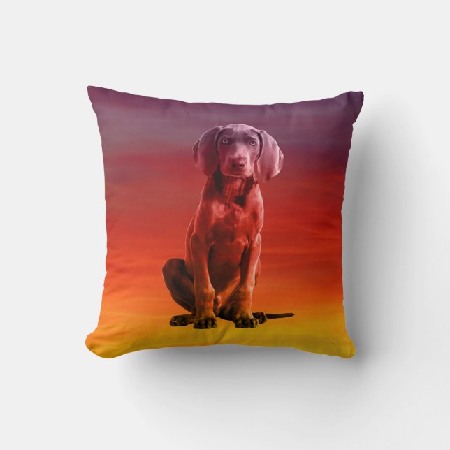 Weimaraner Dog Sitting On Beach Cushion (Front)