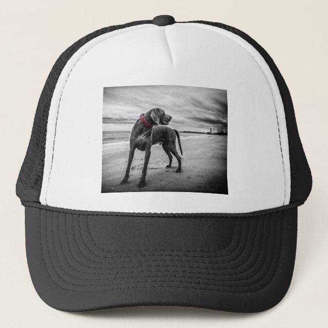 Weimaraner Dog Trucker Hat (Front)