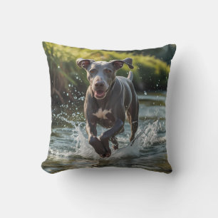 Weimaraner Elegant Throw Pillow