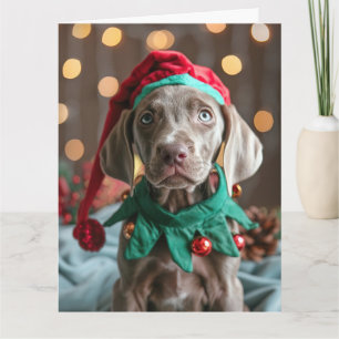 Weimaraner Elf Puppy Christmas Card