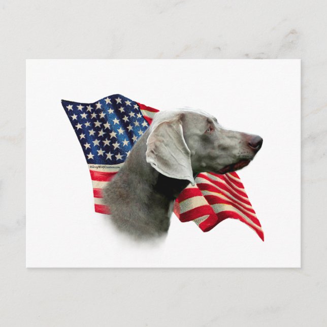 Weimaraner Flag Postcard (Front)