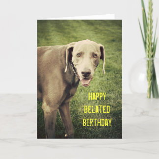 Weimaraner Funny Belated Birthday Card