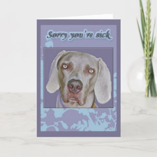 Weimaraner Get Well Card
