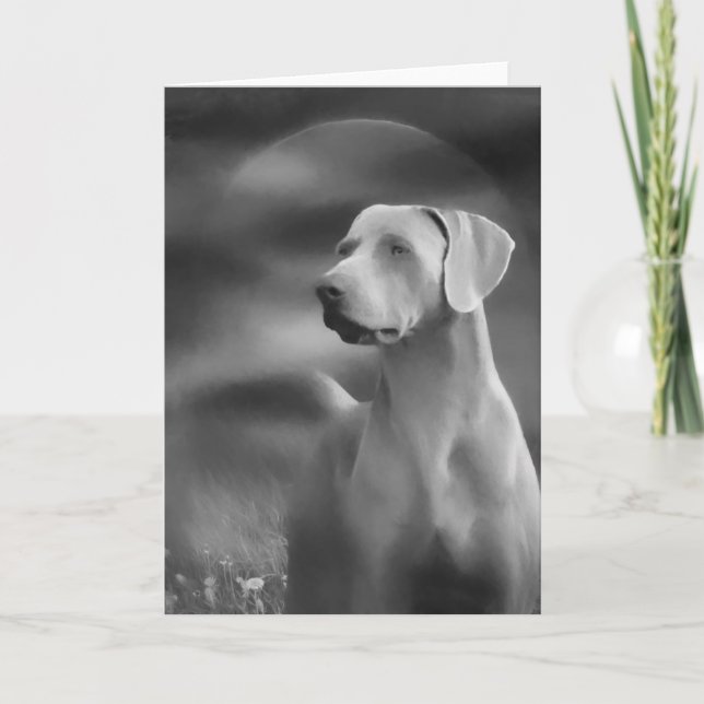 Weimaraner Greeting Card (Front)