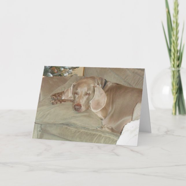 Weimaraner Greeting Card (Front)