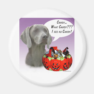 Weimaraner Halloween Candy Magnet