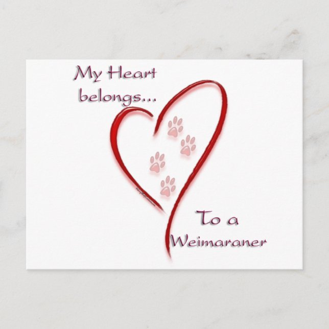 Weimaraner Heart Belongs Postcard (Front)