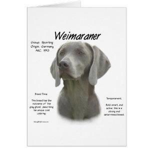 Weimaraner History Design