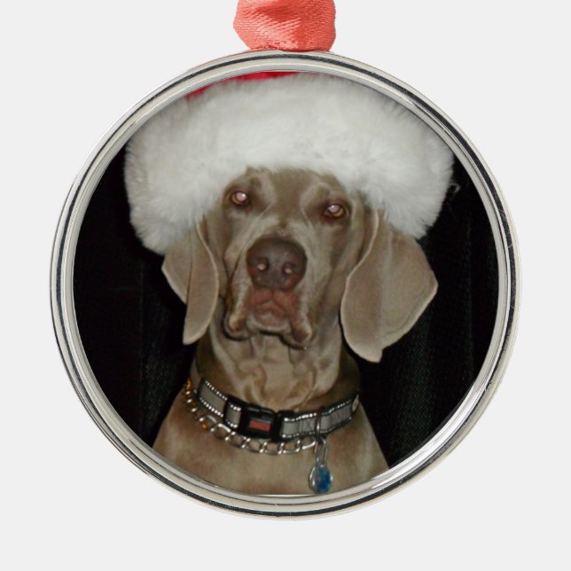 Weimaraner Holiday Helper Metal Tree Decoration (Front)