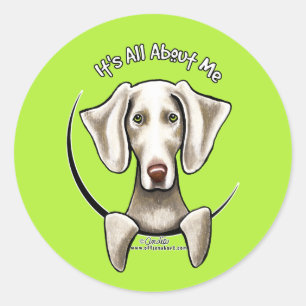 Weimaraner IAAM Classic Round Sticker