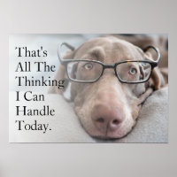Weimaraner In Smart Glasses