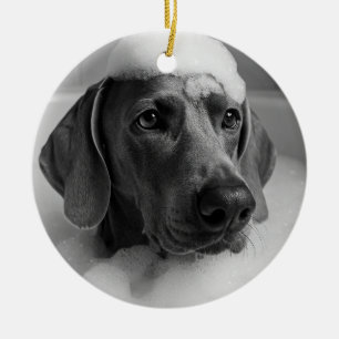 Weimaraner in the bath with bubbles on his head ceramic ornament
