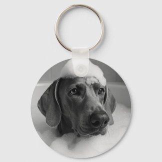 Weimaraner in the bath with bubbles on his head key ring