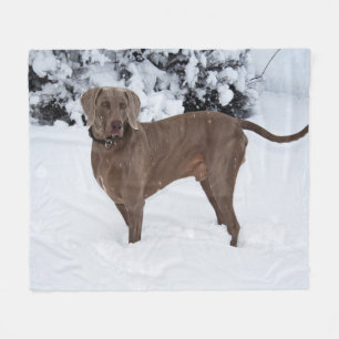 Weimaraner In Winter Fleece Blanket