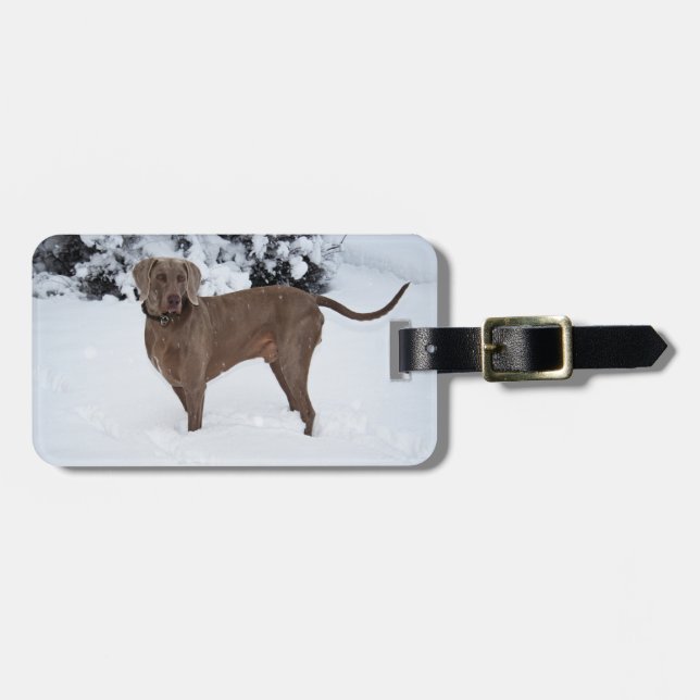 Weimaraner In Winter Luggage Tag (Front Horizontal)