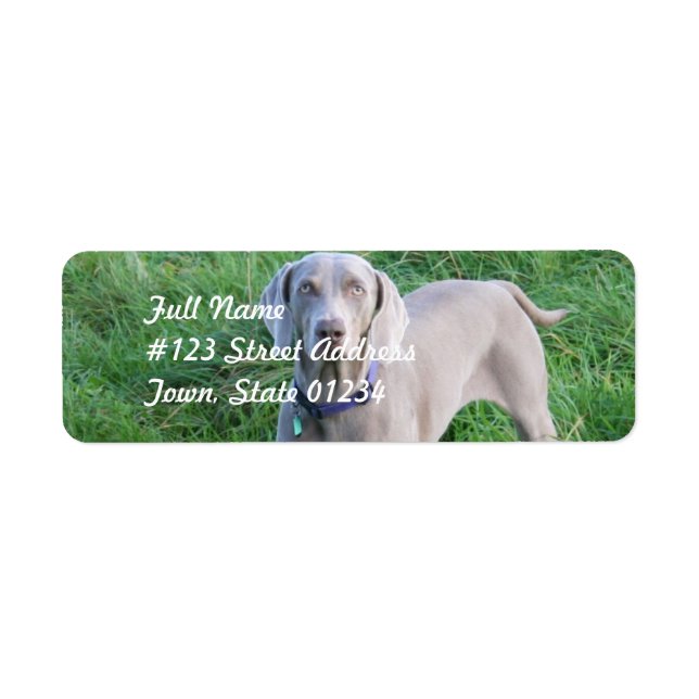 Weimaraner Lovers Mailing Labels (Front)