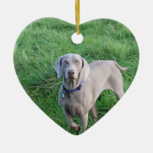 Weimaraner Lovers Ornament