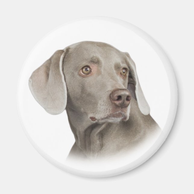 Weimaraner Magnet (Front)