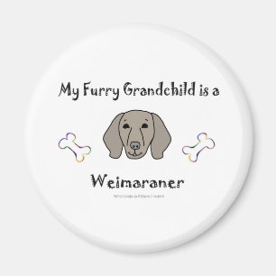 Weimaraner Magnet