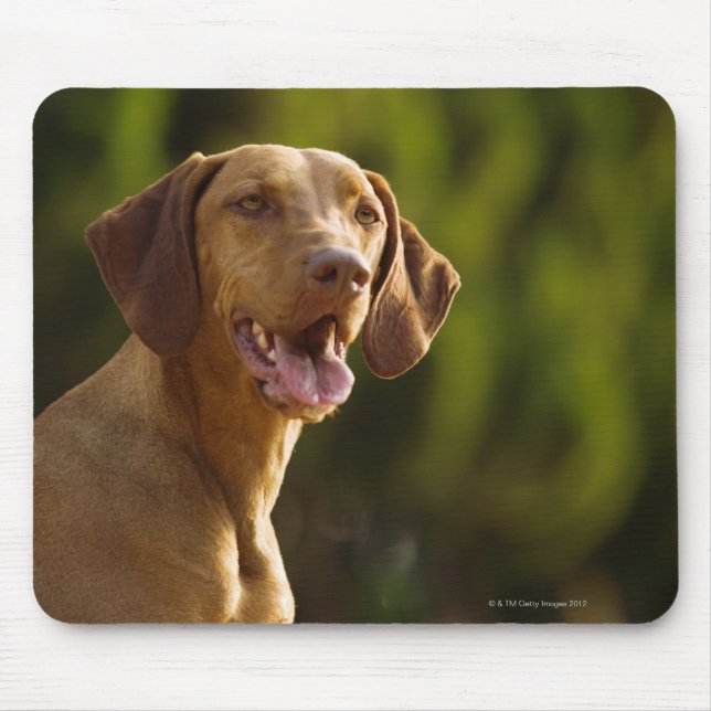 Weimaraner Mouse Pad (Front)