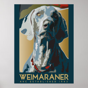 Weimaraner Nation : AKC Weimaraner Poster