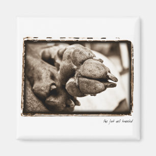 Weimaraner Nation : " The Foot Well Travelled" Magnet