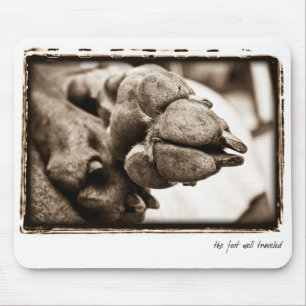 Weimaraner Nation : "The Foot Well Travelled" Mouse Pad