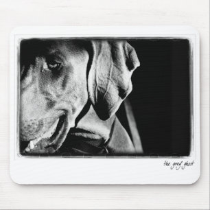 Weimaraner Nation : The Grey Ghost Mouse Pad