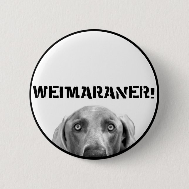 Weimaraner Nation : Weimaraner In A Box! 6 Cm Round Badge (Front)