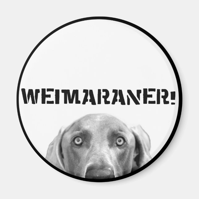 Weimaraner Nation : Weimaraner In A Box! Magnet (Front)