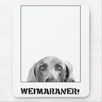Weimaraner Nation : Weimaraner In A Box! Mouse Pad