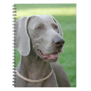 Weimaraner Notebook