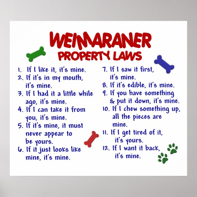 WEIMARANER PL2 POSTER (Front)