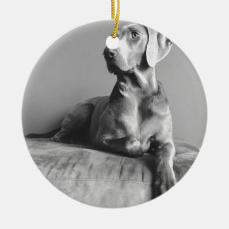 Weimaraner Portrait Ceramic Ornament