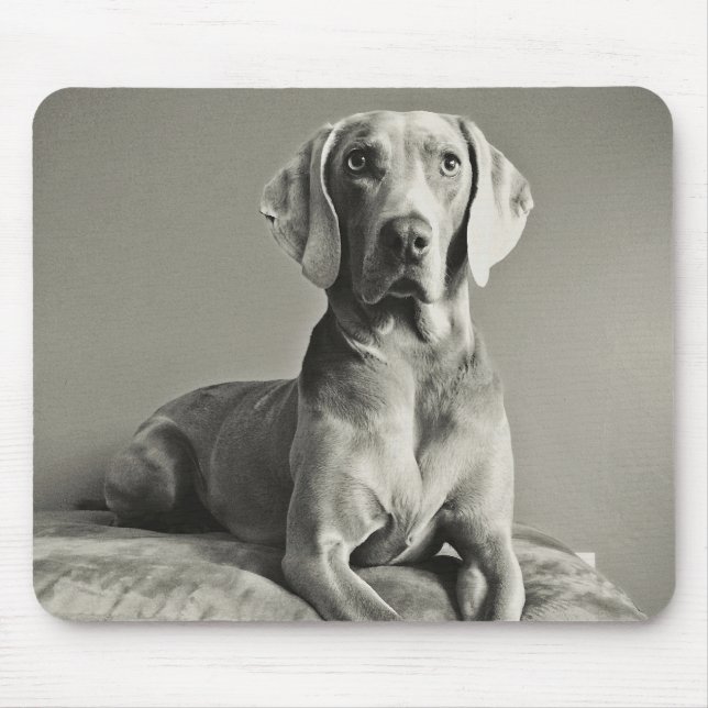 Weimaraner Portrait Mouse Pad (Front)