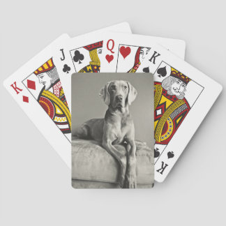 Weimaraner Portrait Playing Cards