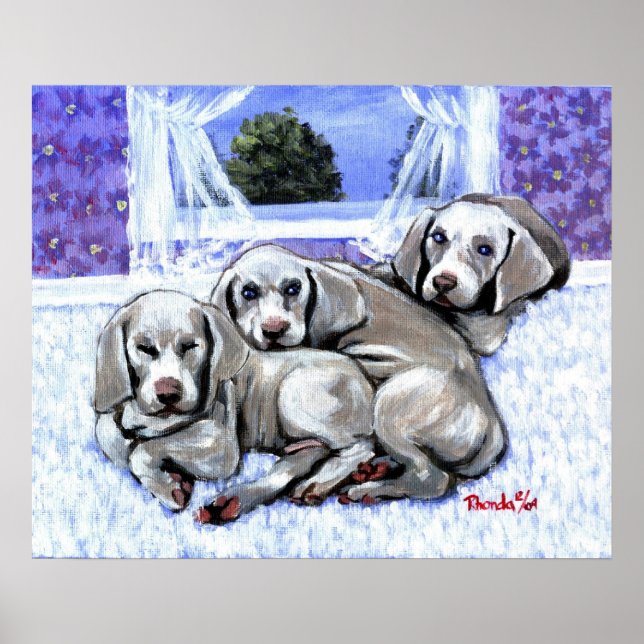 Weimaraner Puppies Dog Portrait Poster (Front)